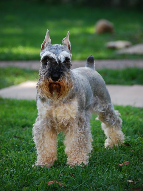 Picture of Olivia